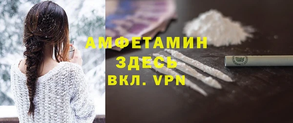 сатива Балахна
