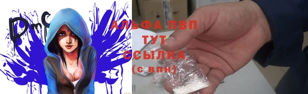 сатива Балахна