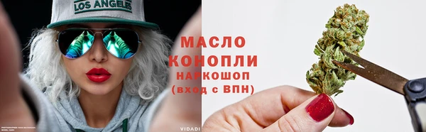 сатива Балахна