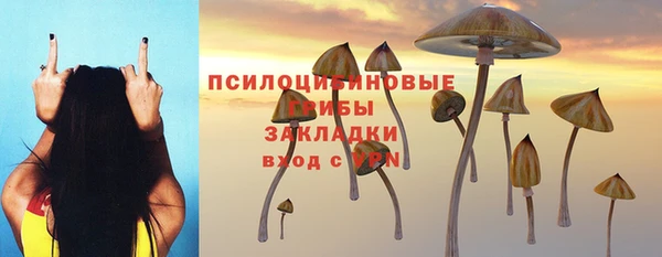 сатива Балахна