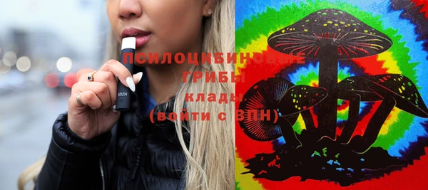 ГАЛЛЮЦИНОГЕННЫЕ ГРИБЫ Балабаново