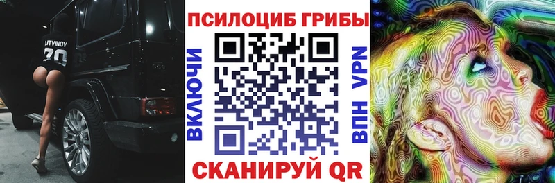 Галлюциногенные грибы Psilocybe  Боровск 